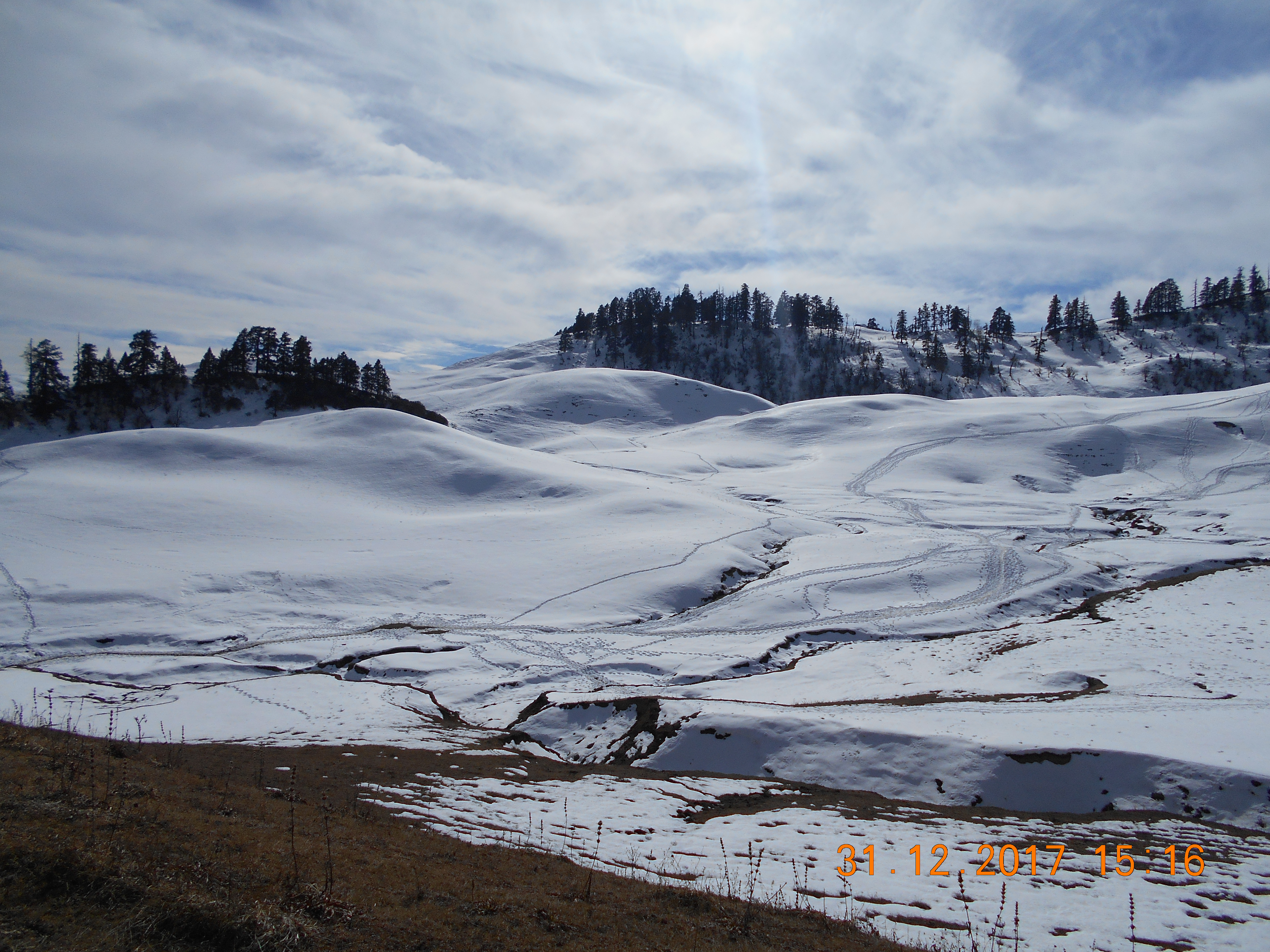 Dayara Bugyal Trekking